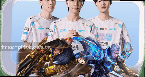 如何访问系统或平台的登录入口？